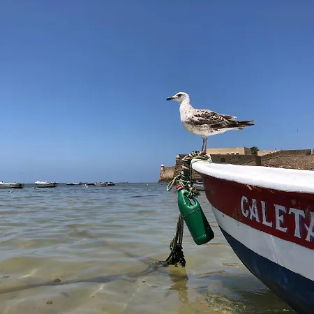 Planeta